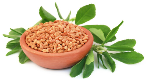 This image has an empty alt attribute; its file name is fenugreek-seeds.jpg