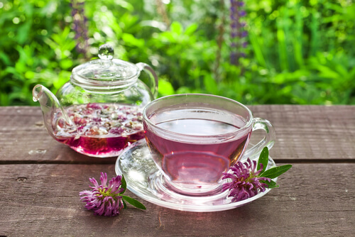 14 Health Benefits of Taking Red Clover